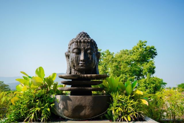 Infinity pool and deck area at The Foresta