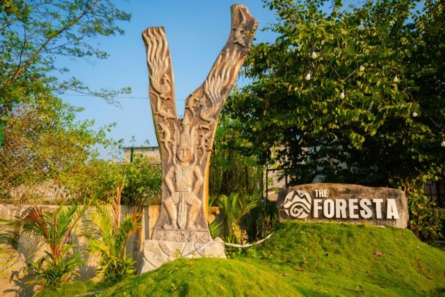 Premium suite room interior with modern decor