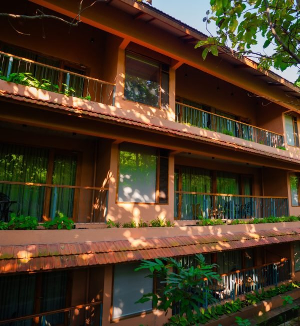 imgi_46_DSC07852-scaled